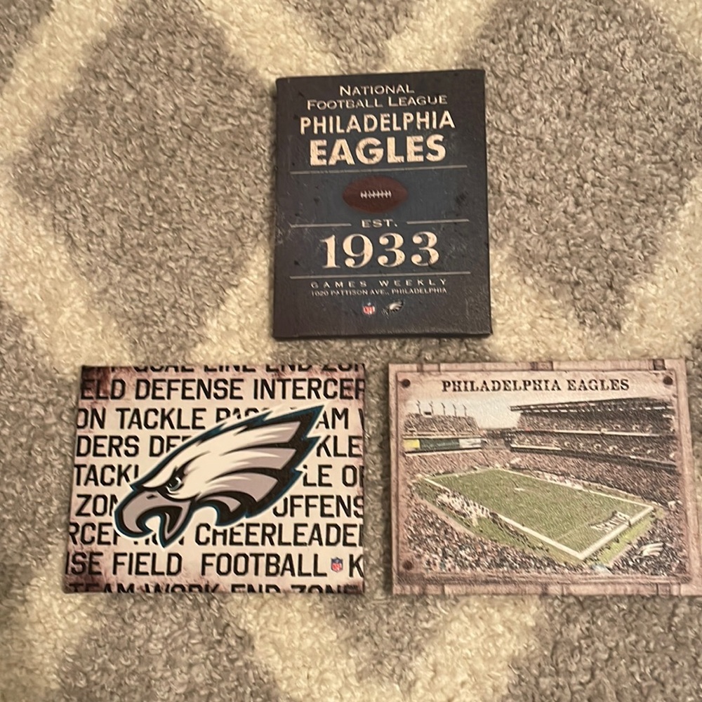 Philadelphia Eagles Artissimo Canvas (3)